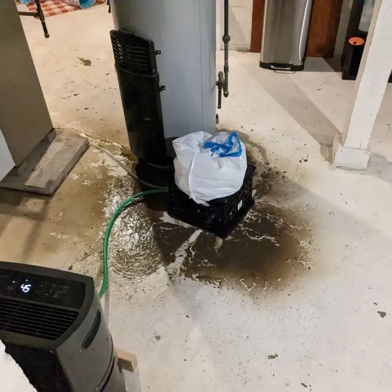 Sewage Backup Cleanup Service in Los Angeles, CA
